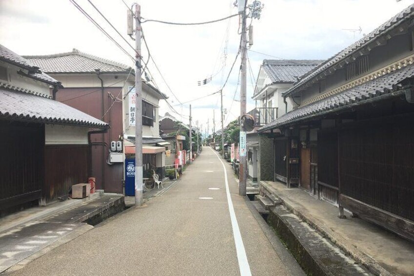 Full-Day Unique Sumo Experience in Katsuragi, Nara