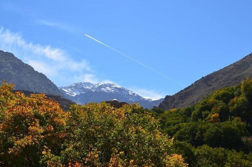  Day Trip from Marrakech To Ourika Valley and Berber Villages