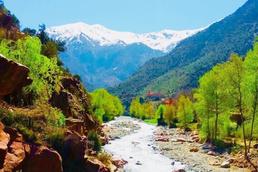  Day Trip from Marrakech To Ourika Valley and Berber Villages