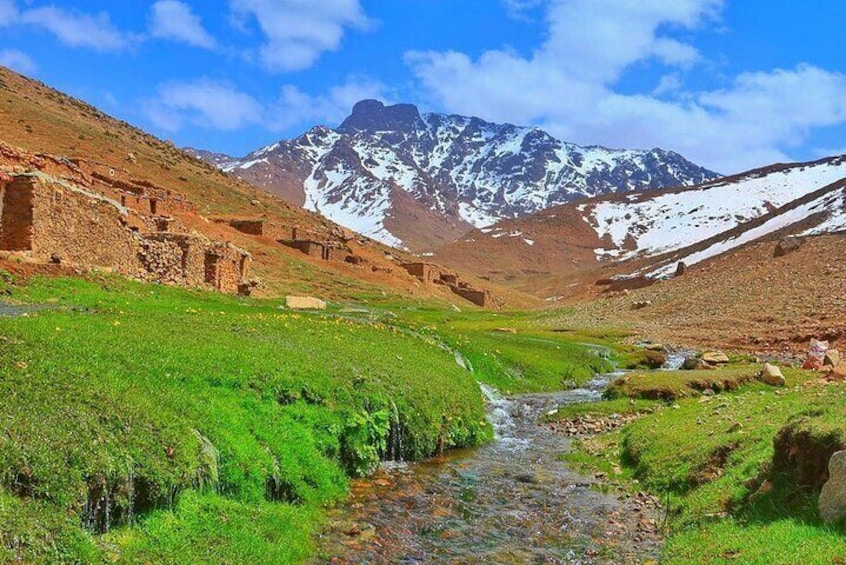 Day Trip from Marrakech To Ourika Valley and Berber Villages