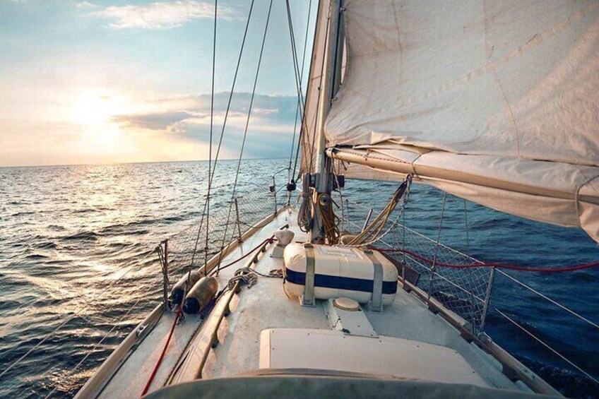 Whale Watching Yacht Tour from Trincomalee