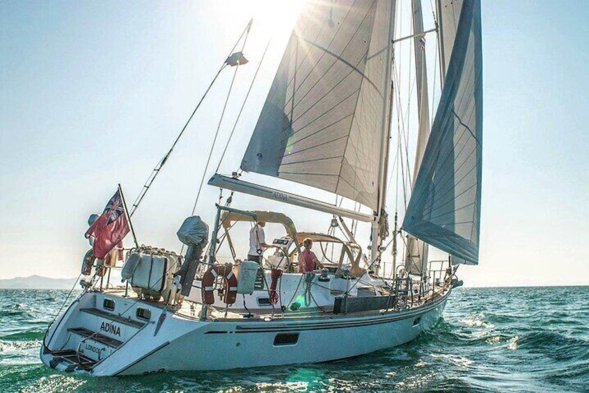Whale Watching Yacht Tour from Trincomalee
