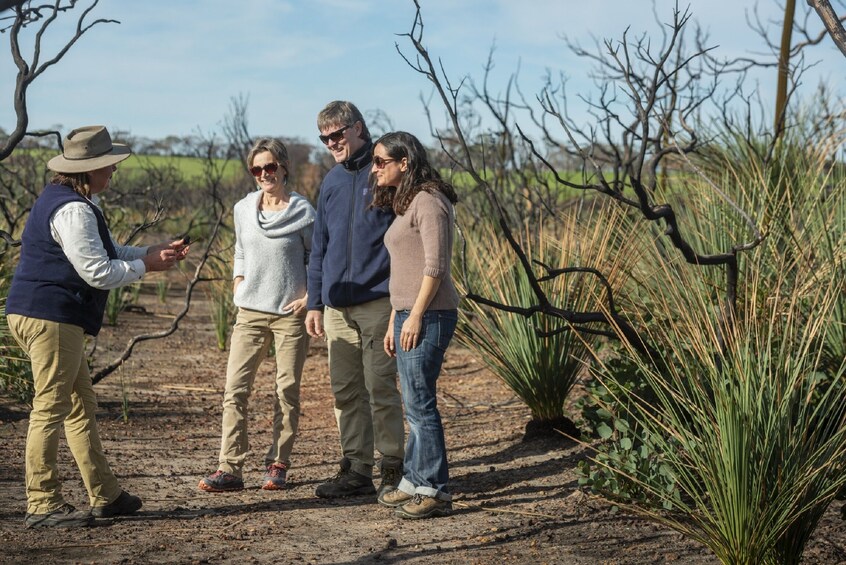 Kangaroo Island Road to Recovery Overnight Tour