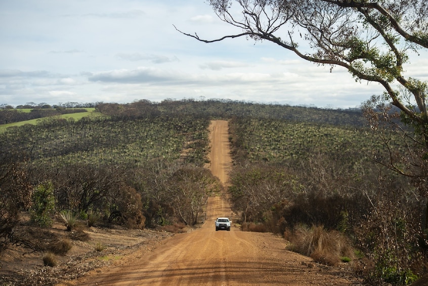 Kangaroo Island Road to Recovery Overnight Tour