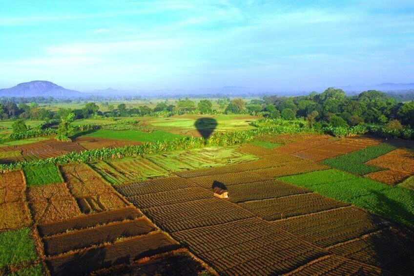 Hot Air Ballooning from Dambulla