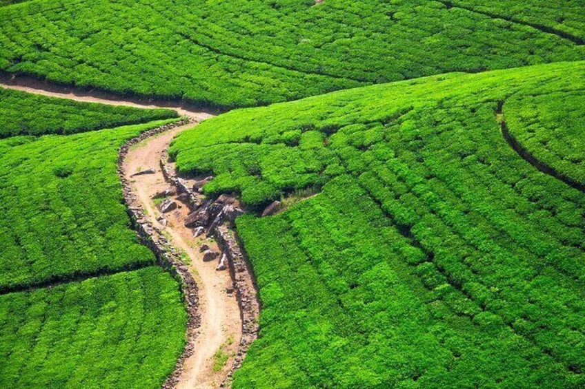 Discover Sigiriya by Helicopter From Hatton