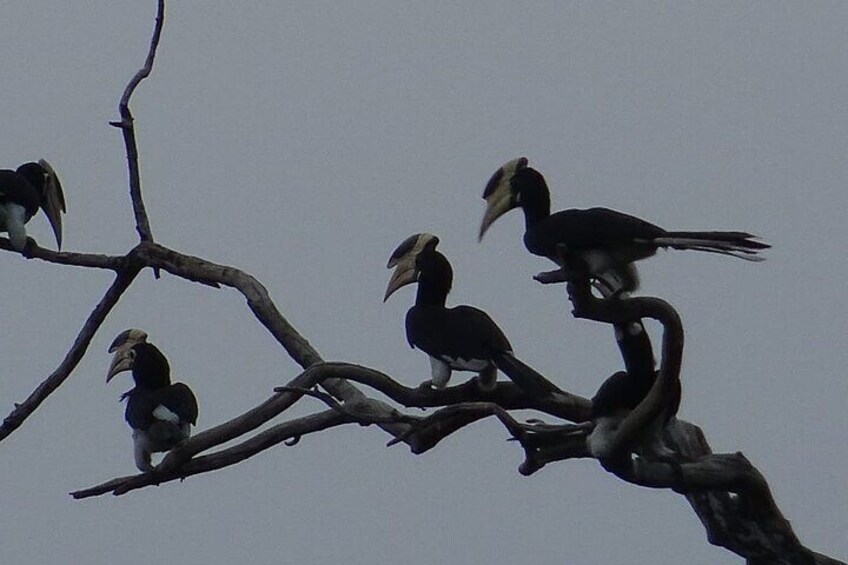 Kumana National Park