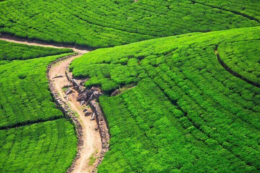 Discover Anuradhapura by Helicopter From Hatton