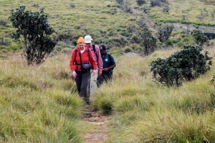 Horton Plains National Park from Nuwara Eliya