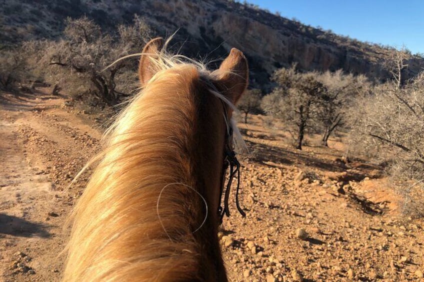 Half-Day Horseback Riding in Aourir with Berber Meal