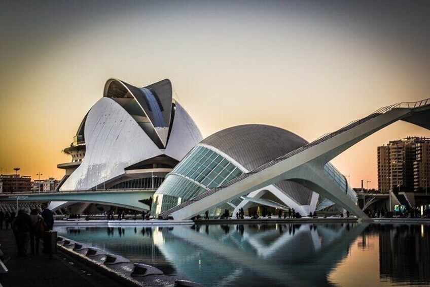 Valencia Private Walking Tour with a Professional Guide