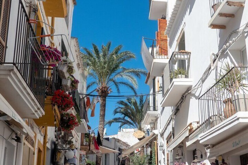 Ibiza old town Private Walking Tour