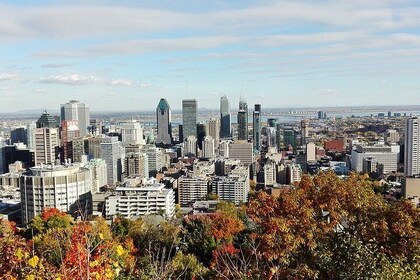 Private Full Day Tour to Montreal from Quebec with driver and licensed guid...