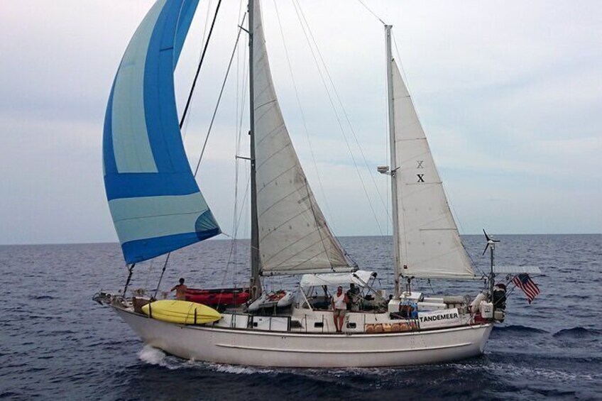 Sailing Tour of Vineyard Haven Harbor and Sound