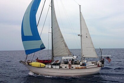 3 Hour Sailing Tour of Vineyard Haven Harbour and Sound