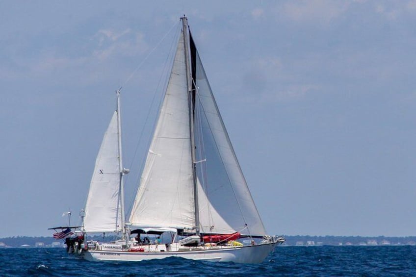 4 Hour Sailing Tour of Vineyard Haven Harbor and Sound