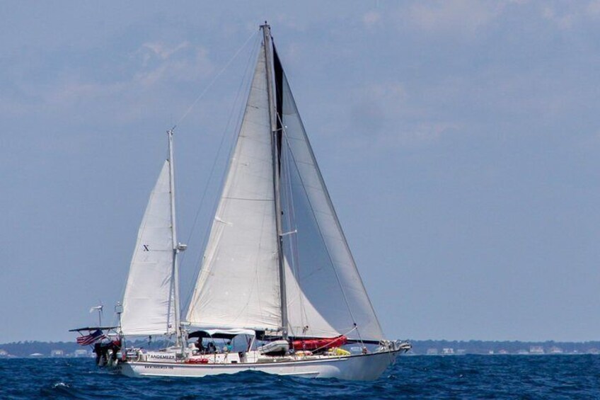 4 Hour Sailing Tour of Vineyard Haven Harbor and Sound