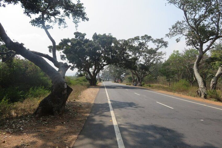 Day Trip to Nandi Hills (Guided Private Sightseeing Experience from Bangalore)