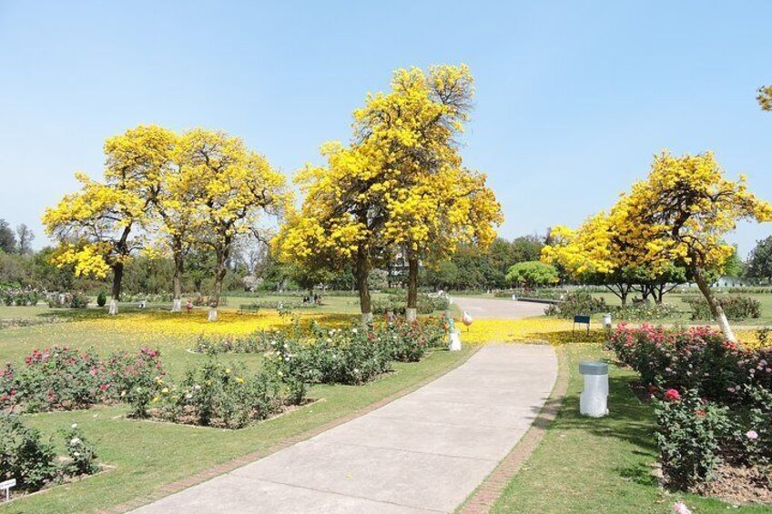 Free Walking Tour Chandigarh