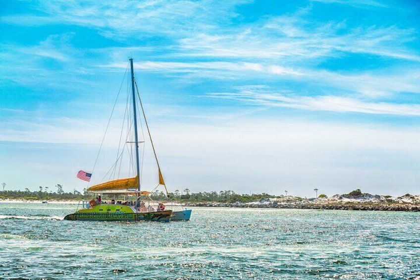 Dolphin Sightseeing Tour on The Footloose Catamaran from Panama City Beach