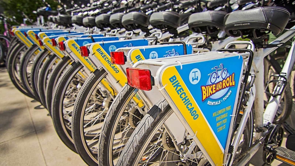 Show item 1 of 6. Bike and roll rentals in Chicago