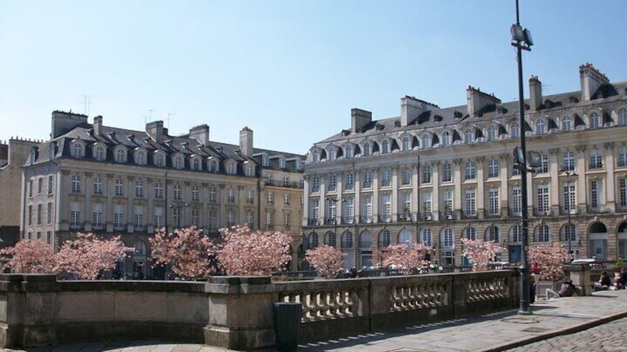 Rennes Private Walking Tour With A Professional Guide