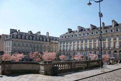 Rennes Private Walking Tour With A Professional Guide