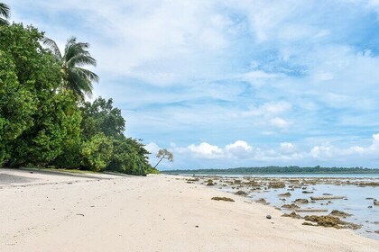 Heritage & Cultural Walk of Portblair (2 Hours Guided Walking Tour)
