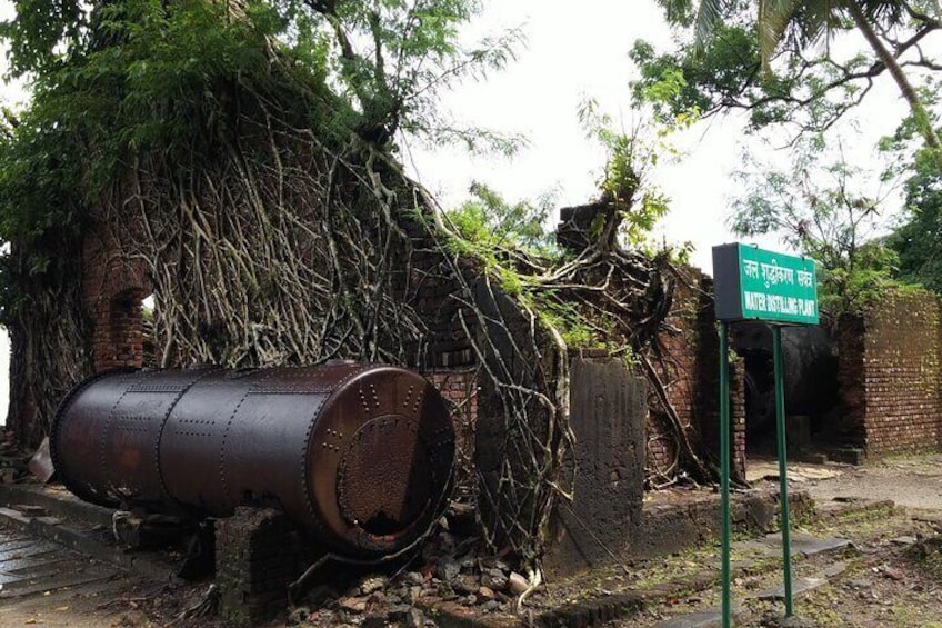 History Buffs Trails to Ross Island (3 Hours Guided Walking Tour)