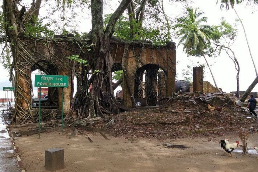 History Buffs Trails to Ross Island (3 Hours Guided Walking Tour)