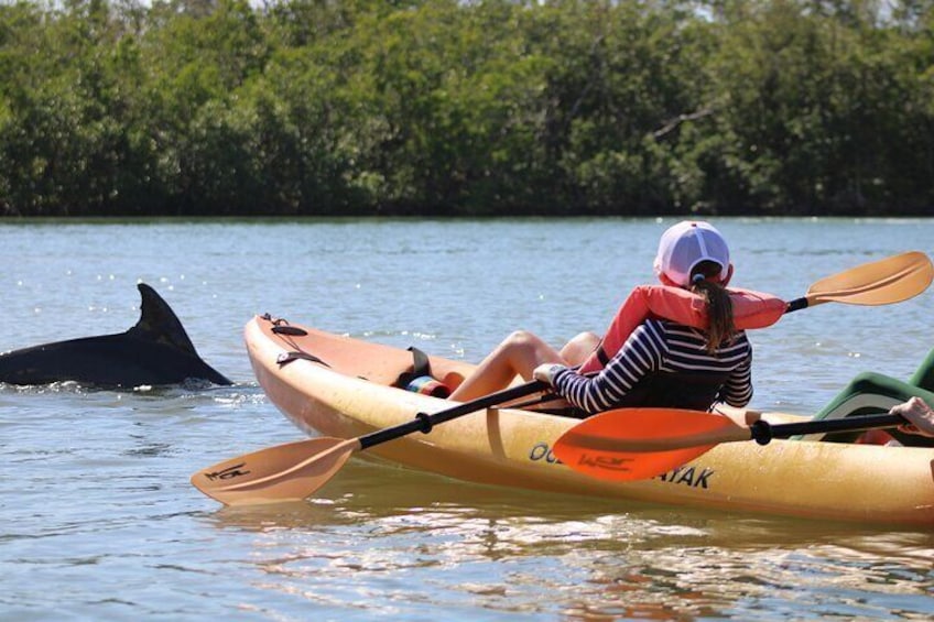 Nauti Exposures - Guided kayak tour through the Mangroves 