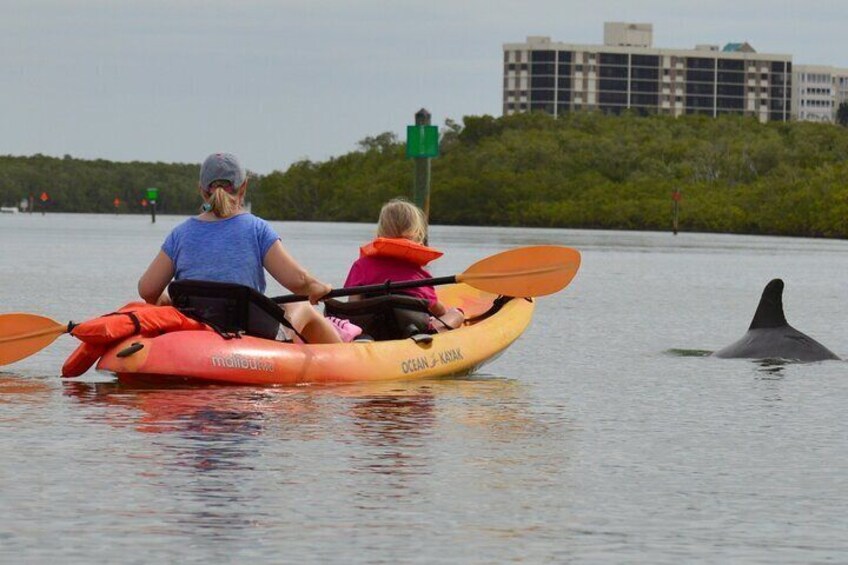 Nauti Exposures - Guided kayak tour through the Mangroves 