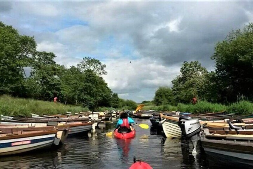 Kayak to Innisfallen island. Killarney. Guided. 3 hours.