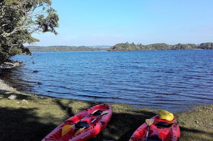 Kayak to Innisfallen island. Killarney. Guided. 2½ hours.