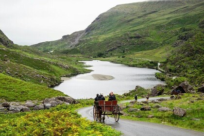 Killarney Highlights Walk – Castle Lake Carriage Ride