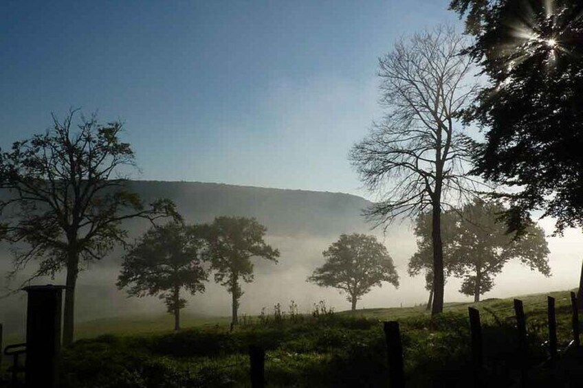 Misty landscape along the Burgundy canal