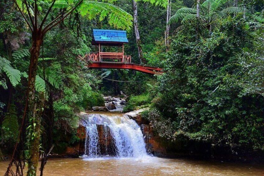 Special Cameron Highlands ~ Day tour;Solo;Couple;Group