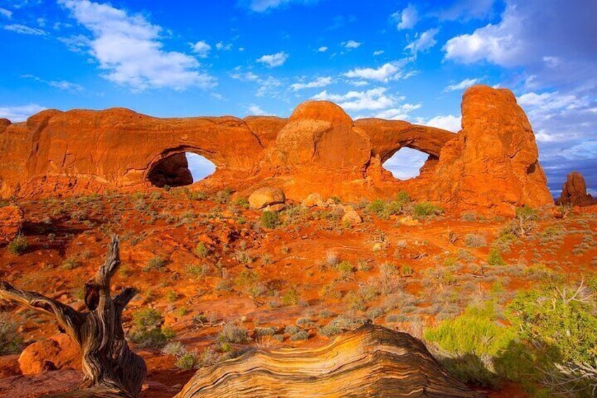 Discover Moab in A Day: Arches, Canyonlands, and Dead Horse Pt