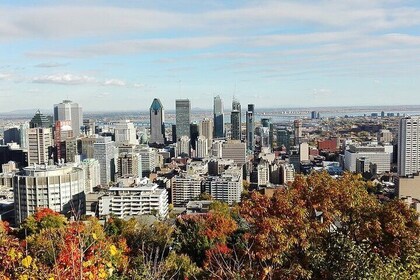 Private 4-hour City Tour of Montreal with driver and guide - Hotel pick up