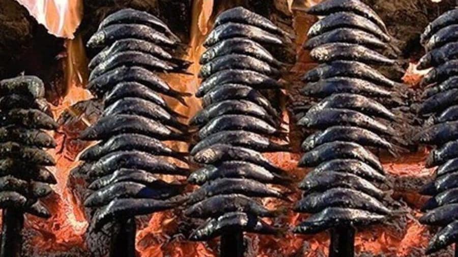 'Sardines on Skewers' workshop