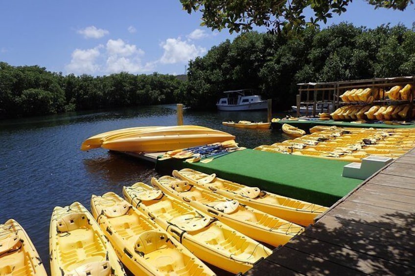 The loading dock when you board your kayak to being your adventure into the Mangrove Lagoon.