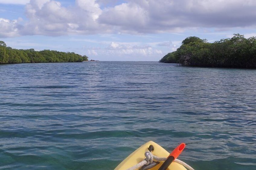 Paddling up through Sting Ray Alley just before your et to Cas Cay.