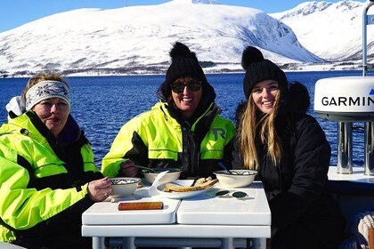 Fjordcruise - Luxury Yacht Arctic Queen