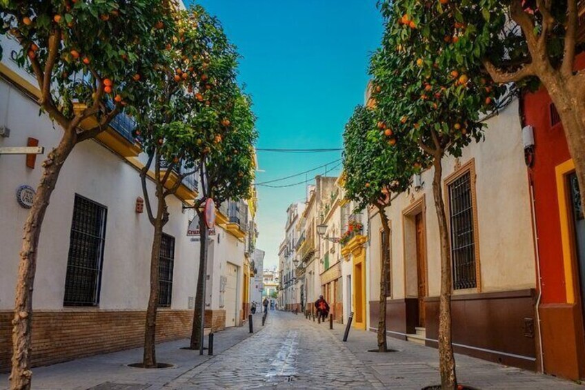 Seville Private Tour: Old Town Wonders Exploration Game