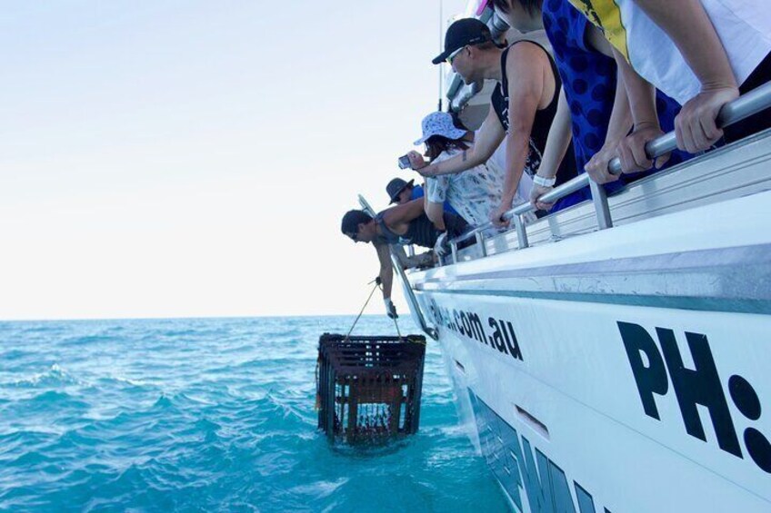 Rock lobster Pot Pull Tour in Kalbarri