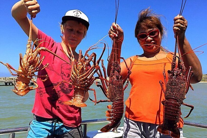 Rock lobster Pot Pull Tour in Kalbarri