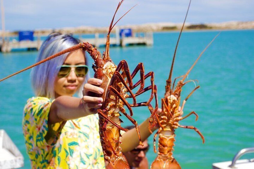 Rock lobster Pot Pull Tour in Kalbarri