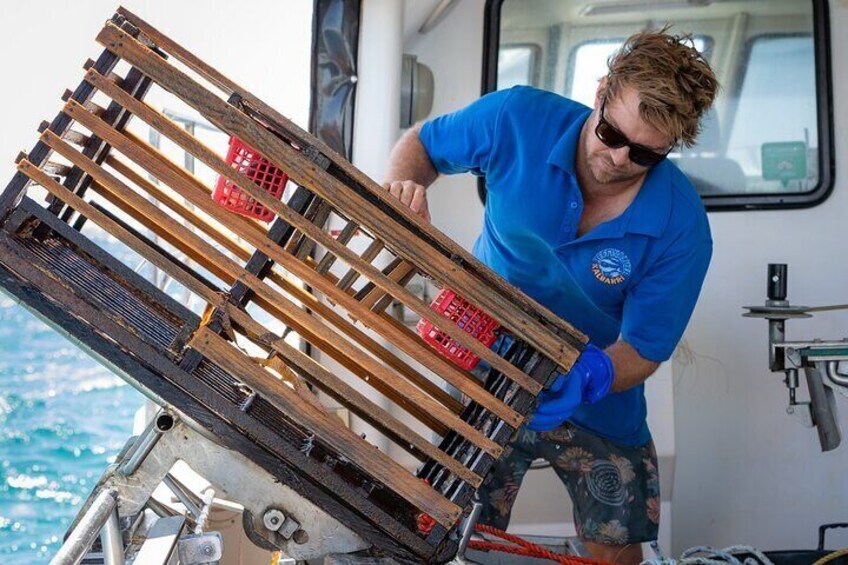 Rock lobster Pot Pull Tour in Kalbarri