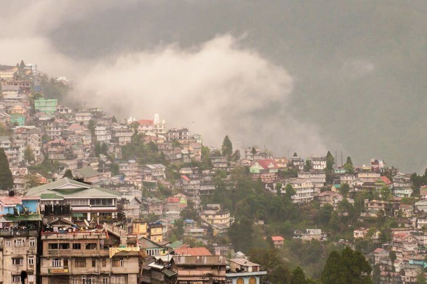 Best of Darjeeling (Guided Halfday Sightseeing Tour by Car)