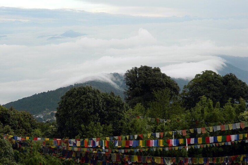 Tiger Hill Darjeeling Nature Walk (3 Hours Guided Trekking Experience)